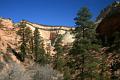 13-Zion 0004